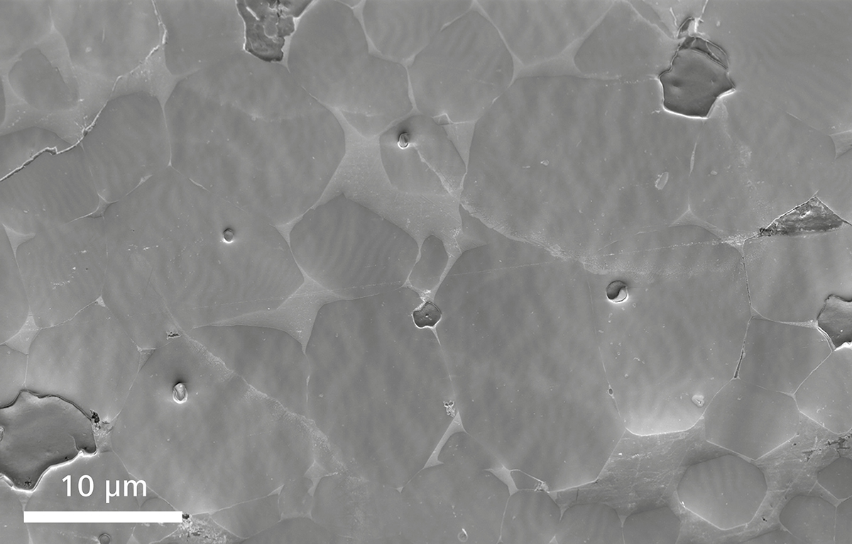 场发射桦甸扫描电镜