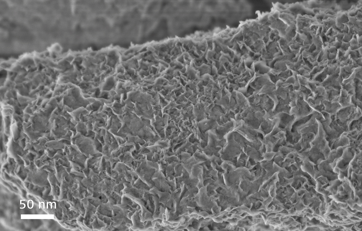 场发射桦甸扫描电镜