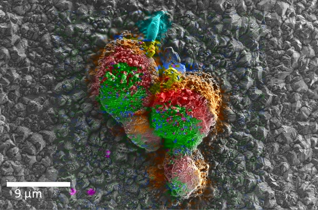 桦甸桦甸蔡司桦甸扫描电镜