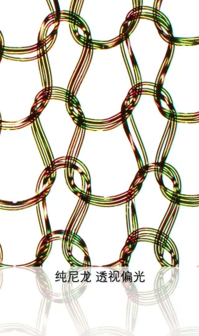 桦甸蔡司共聚焦显微镜