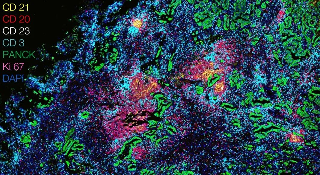 桦甸桦甸蔡司显微镜