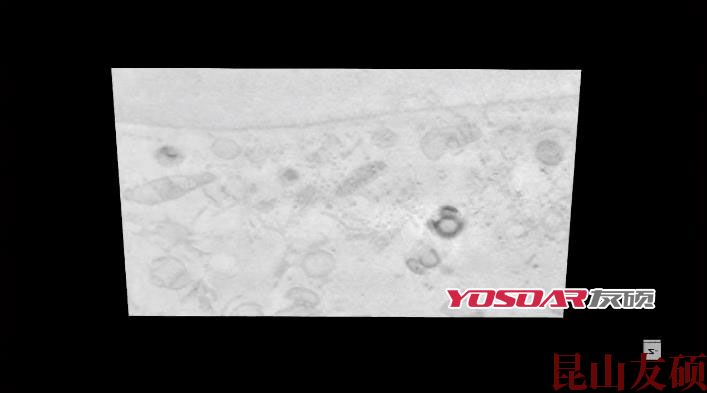 FIB桦甸扫描电镜