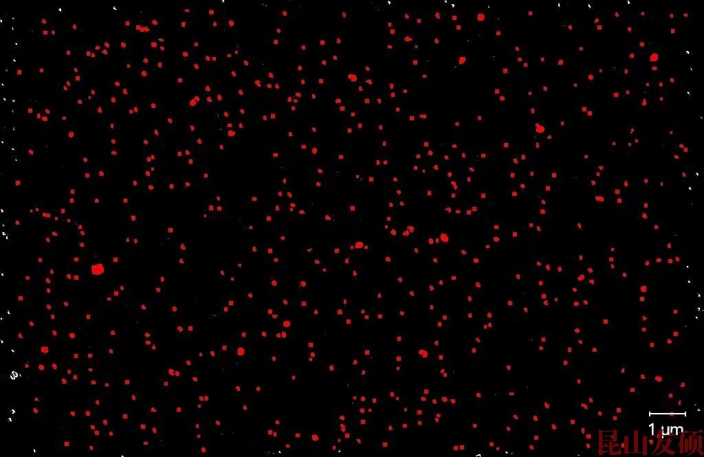 桦甸桦甸蔡司桦甸扫描电镜